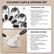 KULVANO Magnetic Measuring Cups and Spoons Set – 15-Piece Essential for Precision in Cooking